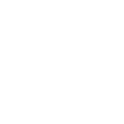 mss_logo